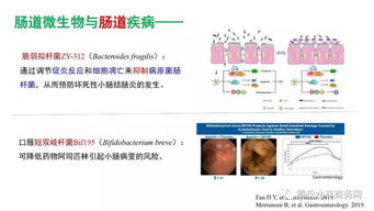 王高學(xué) 腸道微生物與動(dòng)物健康——水產(chǎn)微生態(tài)制劑研究應(yīng)用現(xiàn)狀與趨勢(shì)丨2019水產(chǎn)動(dòng)保配方師大會(huì)報(bào)告①